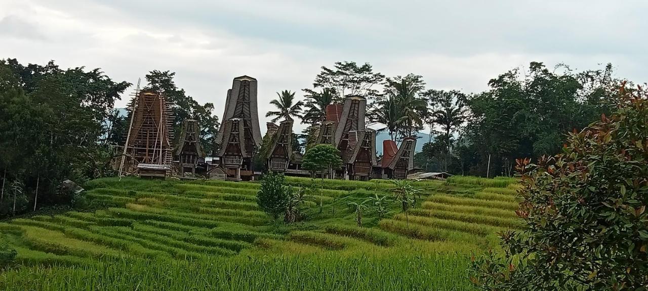 Toraja Bungin Homestay Rantepao Exteriör bild